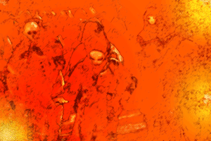 Dancing through Hell by Phil Slattery