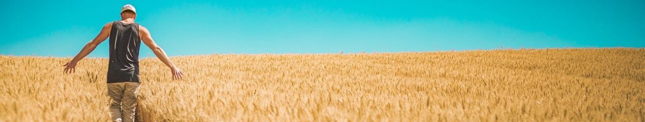 Rural Fiction Magazine