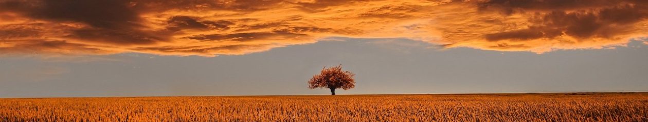 Rural Fiction Magazine