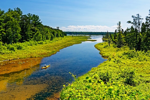 R. Wayne Gray is a Vermont-based writer who has published in a wide range of genres and formats. His short fiction has recently appeared in Cosmic Horror Monthly, Trembling With Fear, and the anthologies 666 Dark Drabbles and Bloody Good Horror.