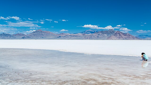 Bonneville_Salt_Flats,_Utah_(20011286671) "The Salt Have Lost Its Savour" Short Story by Dr. J. Bradley Minnick: Dr. J. Bradley Minnick is a writer, public radio host and producer, and an Professor of English at the University of Arkansas at Little Rock. He is the Executive Producer for Arts & Letters Radio, celebrating modern humanities in the South, found at artsandlettersradio.org. He's published numerous journal articles and fiction. Original photo by Zoxcleb Distributed under the Creative Commons Attribution- Share Alike 2.0 License