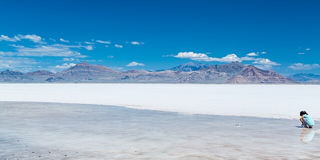 Bonneville_Salt_Flats,_Utah_(20011286671) "The Salt Have Lost Its Savour" Short Story by Dr. J. Bradley Minnick: Dr. J. Bradley Minnick is a writer, public radio host and producer, and an Professor of English at the University of Arkansas at Little Rock. He is the Executive Producer for Arts & Letters Radio,  celebrating modern humanities in the South, found at artsandlettersradio.org. He's published numerous journal articles and fiction.  Original photo by Zoxcleb Distributed under the Creative Commons Attribution- Share Alike 2.0 LicenseRFM would love to see a variety of countries, cultures, ethnicities, peoples, settings, and situations represented to show the universal qualities that bind us together (or divide us) as human. Image generated by AI