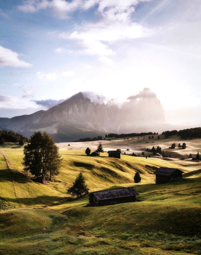 Four Poems by John Grey: John Grey is an Australian poet, US resident, recently published in Stand, Santa Fe Literary Review, and Lost Pilots. Latest books, ”Between Two Fires”, “Covert” and “Memory Outside The Head” are available through Amazon. Work upcoming in the Seventh Quarry, La Presa and California Quarterly..