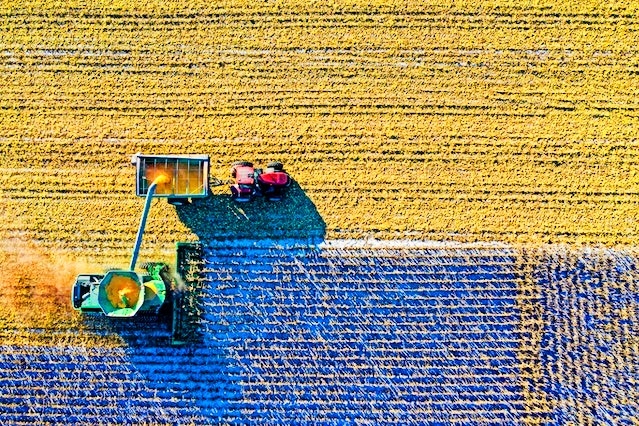 "Farmer Artist" Poem by Darrell Petska: Darrell Petska is a retired university engineering editor and a two-time Pushcart Prize nominee. His poetry appears in Verse-Virtual, 3rd Wednesday Magazine, Farmer-ish, Soul-Lit, and widely elsewhere (conservancies.wordpress.com). A father of five and grandfather of six, he lives near Madison, Wisconsin, with his wife of more than 50 years.