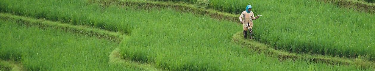 Rural Fiction Magazine